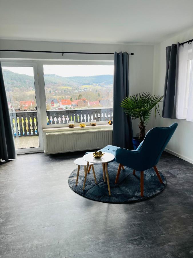 Ferienwohnung Am Tor Zum Thueringer Wald 2 Plaue  Exteriér fotografie
